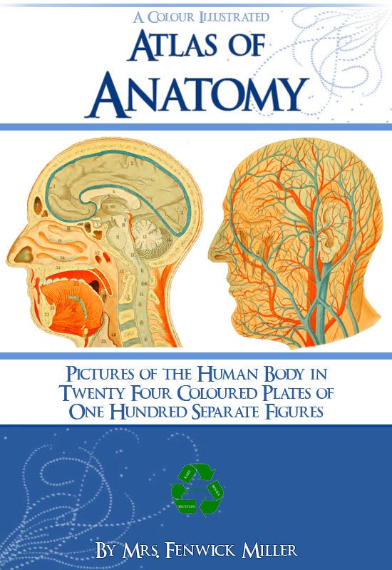 knut miller atlas of anatomy
